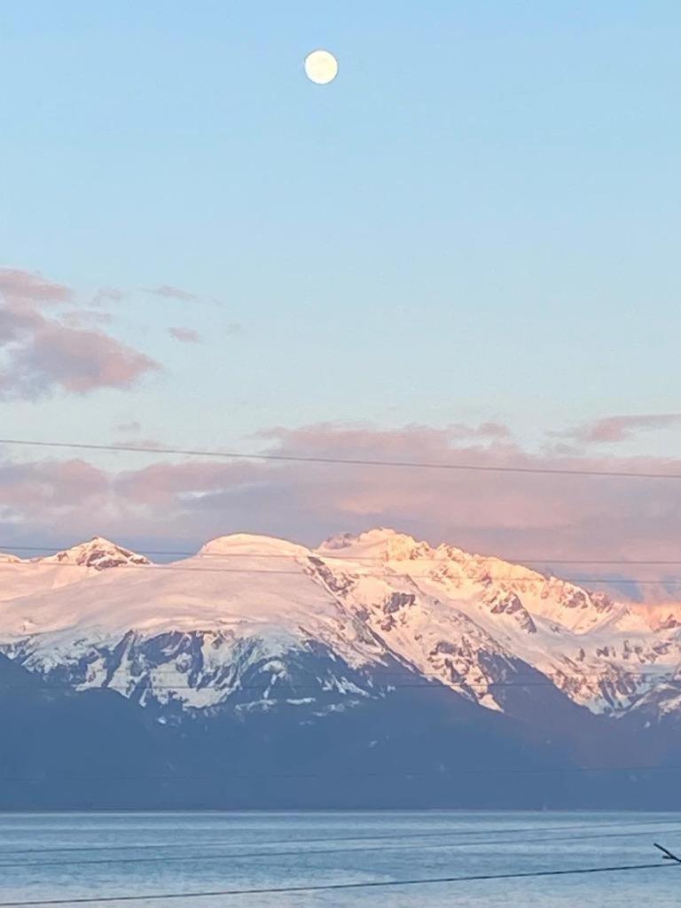 Cabin 1 Lynn View Lodge Haines 外观 照片